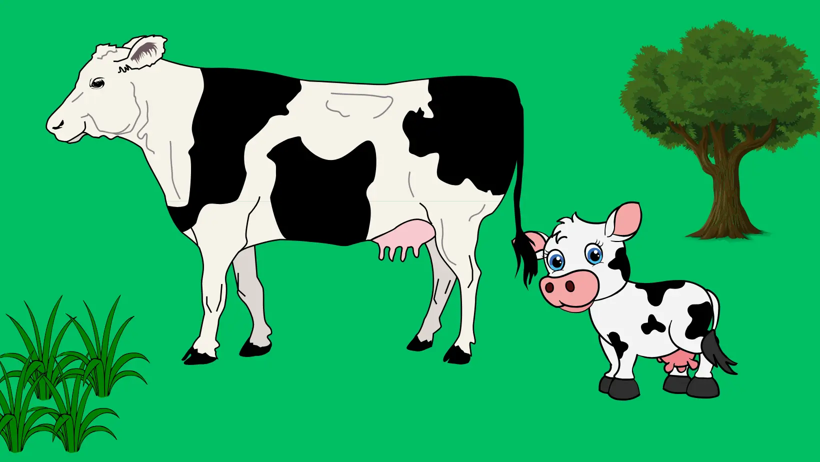 A Pet Animal Or, A Domestic Animal of Bangladesh Or, The Cow