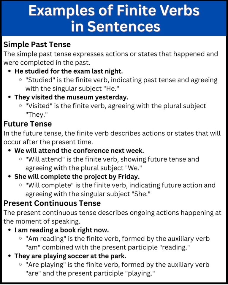 Finite Verb Definition and Examples - Daily English Guide