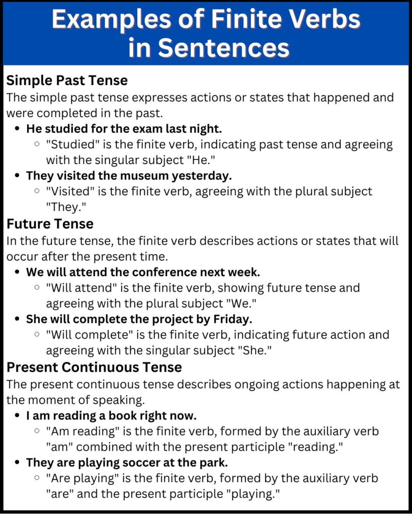 Examples of Finite Verbs in Sentences