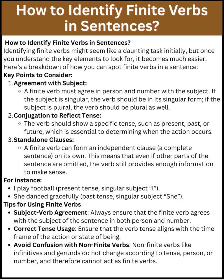 Finite Verb Definition and Examples - Daily English Guide
